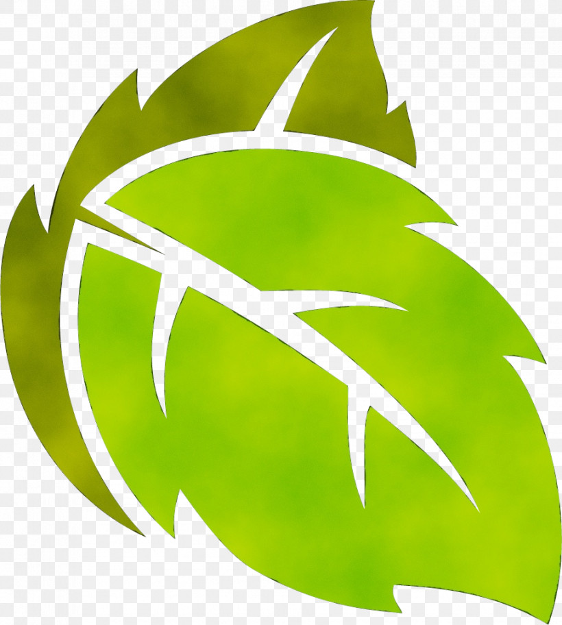 Leaf Plant Stem Green M-tree Font, PNG, 919x1023px, Watercolor, Biology, Green, Leaf, Meter Download Free