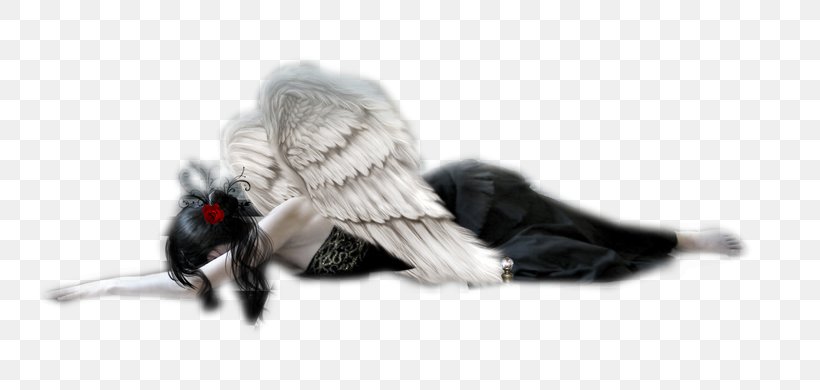 Fallen Angel Clip Art, PNG, 762x390px, Fallen Angel, Angel, Autocad Dxf, Document, Fallen Download Free