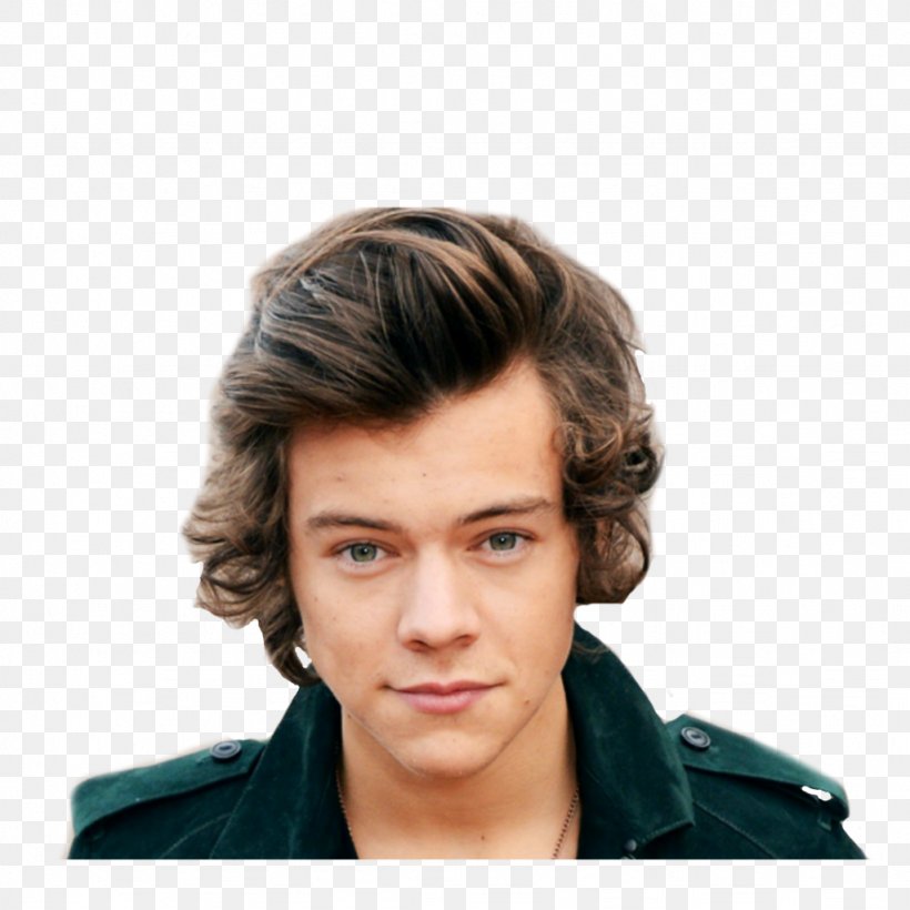 Harry Styles The X Factor One Direction Sign Of The Times, PNG, 1024x1024px, Watercolor, Cartoon, Flower, Frame, Heart Download Free