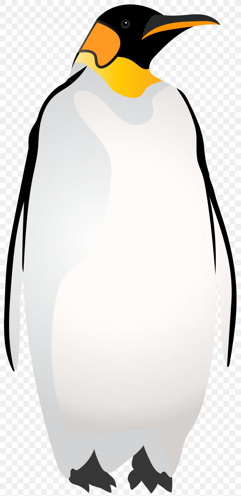 King Penguin Black And White Clip Art, PNG, 3897x8000px, Penguin, Animal, Beak, Bird, Black Download Free