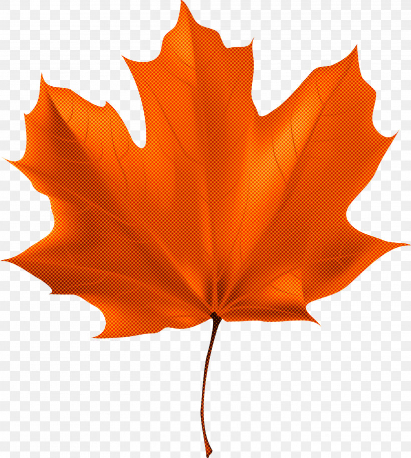 Maple Leaf, PNG, 2693x2999px, Leaf, Autumn, Black Maple, Deciduous, Flower Download Free