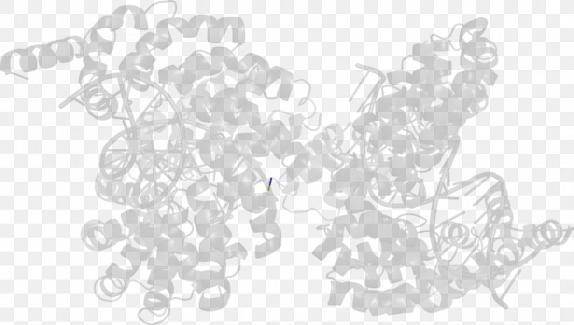 White Line Art Angle, PNG, 881x500px, White, Black, Black And White, Line Art, Monochrome Download Free