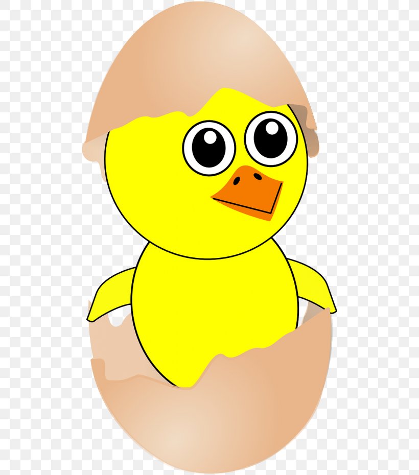 Chicken Bird Egg Clip Art, PNG, 500x930px, Chicken, Art, Beak, Bird, Cartoon Download Free