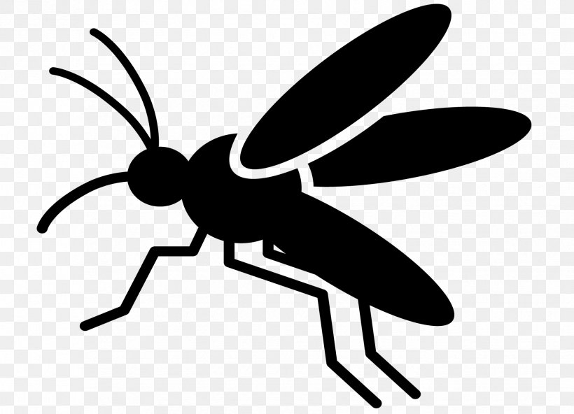 Insect Black & White, PNG, 1833x1325px, Insect, Arthropod, Bee, Black, Black White M Download Free