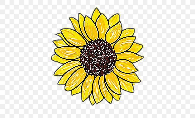 Drawing Sunflower Image Sketch Art, PNG, 638x498px, 2018, Drawing, Art, Chrysanths, Coloring Book Download Free