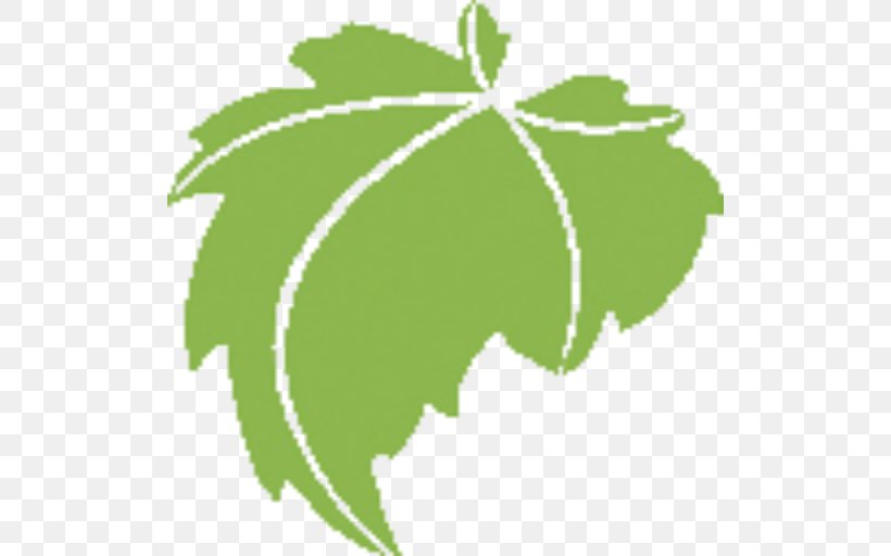 Grapevine Leaf Plant Stem Line Clip Art, PNG, 512x512px, Grapevine, Flora, Flowering Plant, Fruit, Grapevine Family Download Free