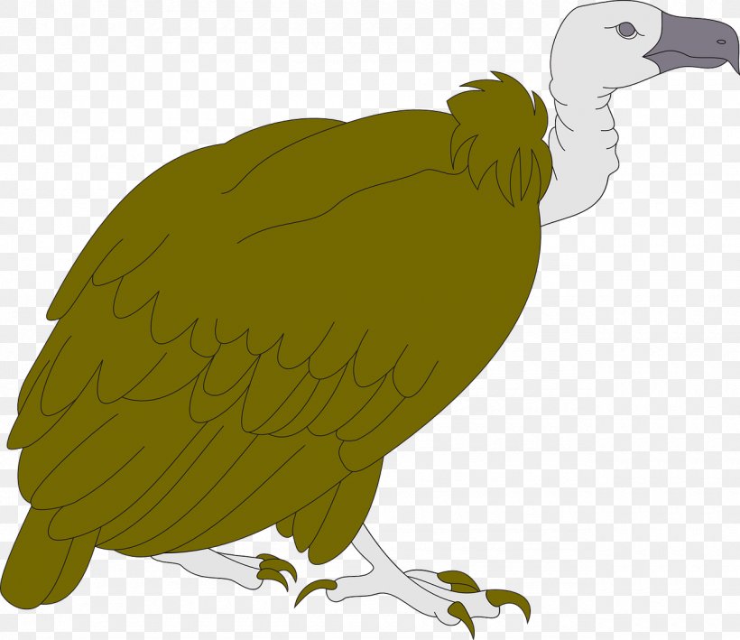 Bird Turkey Vulture Clip Art, PNG, 1280x1108px, Bird, Animation, Beak, Bird Of Prey, Condor Download Free