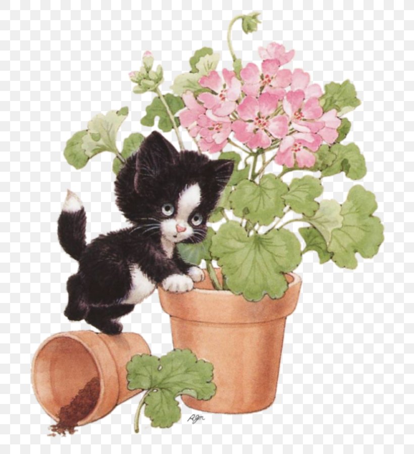 Clip Art GIF Image Cat Birthday, PNG, 800x899px, Cat, Animation, Birthday, Blog, Carnivoran Download Free
