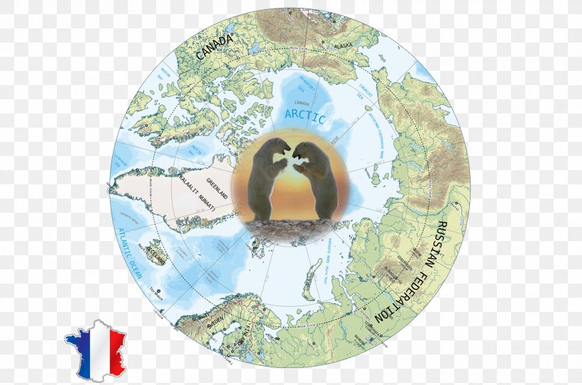 Flightless Bird Polar Route, PNG, 1920x1273px, Flightless Bird, Bird, Fauna Download Free