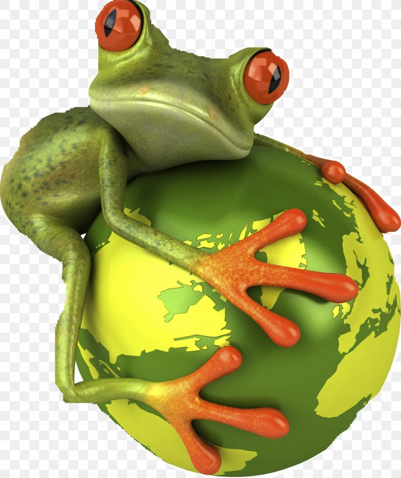 Frog Royalty-free Wallpaper, PNG, 1342x1600px, 3d Computer Graphics, Frog, Amphibian, Decal, Organism Download Free