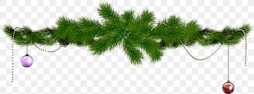 White Pine Tree Plant American Larch Leaf, PNG, 1280x476px, White Pine, American Larch, Grass, Jack Pine, Leaf Download Free