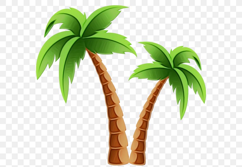 Coconut Leaf Drawing, PNG, 600x566px, Palm Trees, Arecales, Attalea Speciosa, Cartoon, Coconut Download Free