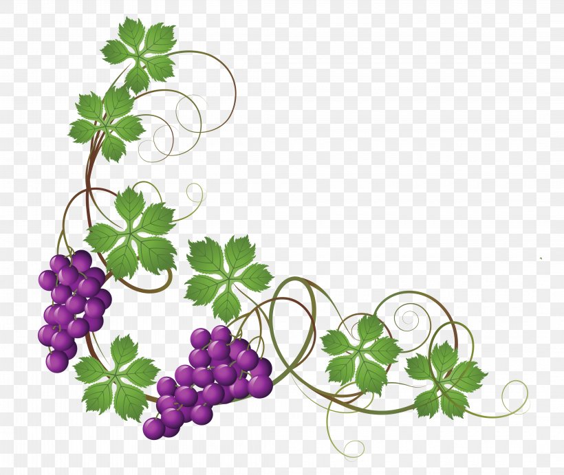 Common Grape Vine Wine Grape Leaves Clip Art, PNG, 4340x3658px, Common Grape Vine, Branch, Flora, Floral Design, Flower Download Free