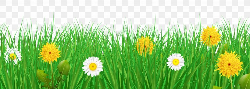 Flower Clip Art, PNG, 6000x2133px, Flower, Commodity, Drawing, Field, Grass Download Free
