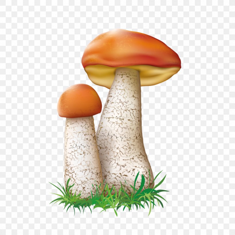 Leccinum Aurantiacum Mushroom Fungus Illustration, PNG, 1000x1000px, Leccinum Aurantiacum, Art, Boletus Edulis, Edible Mushroom, Fungus Download Free