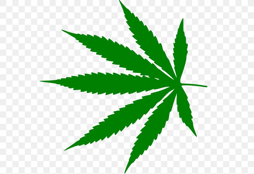 Medical Cannabis Legalization Amazon.com Joint, PNG, 599x562px, Cannabis, Amazoncom, Aurora Cannabis, Decriminalization, Dispensary Download Free
