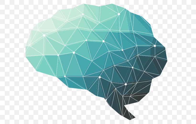 The Female Brain Human Brain Polygon Human Head, PNG, 629x518px, Female Brain, Aqua, Brain, Green, Human Brain Download Free