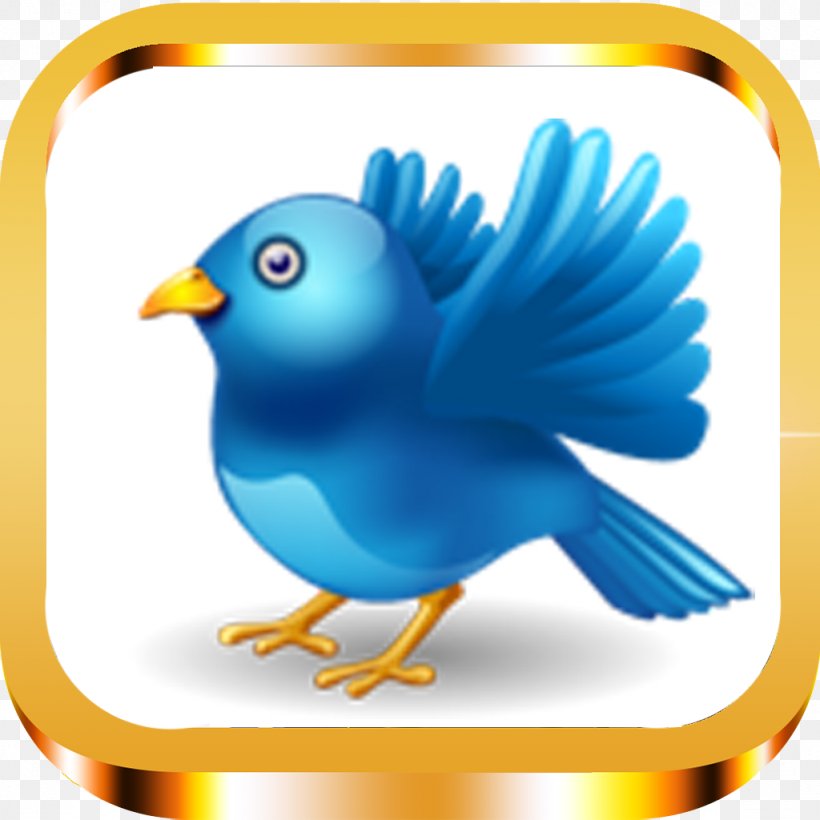 Bird Clip Art, PNG, 1024x1024px, Bird, Beak, Bird Nest, Button, Chicken Download Free