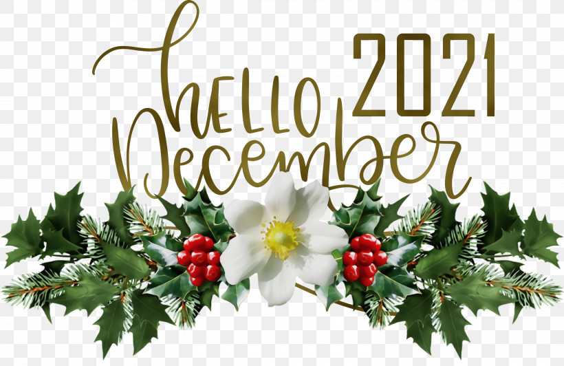 Christmas Day, PNG, 3000x1949px, Hello December, Christmas Day, Common Holly, December, Drawing Download Free