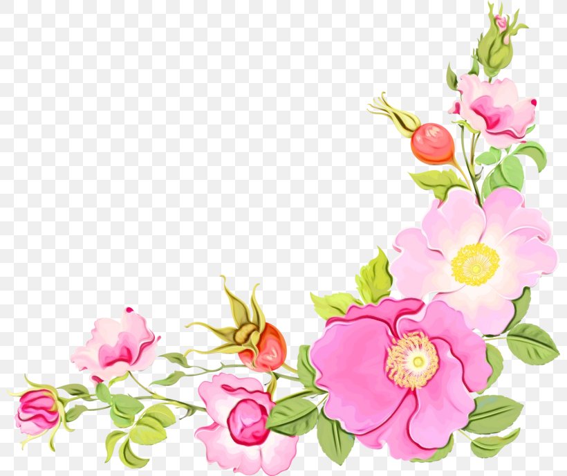 International Nurses Day, PNG, 800x688px, Garden Roses, Artificial Flower, Cut Flowers, Diary, Female Download Free
