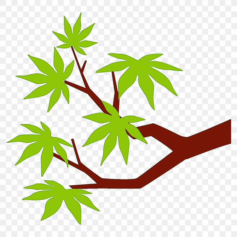 Maple Branch Maple Leaves Maple Tree, PNG, 1200x1200px, Maple Branch, Branch, Flower, Hemp Family, Leaf Download Free