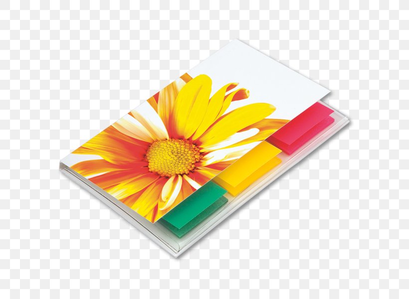 Transvaal Daisy Rectangle, PNG, 600x600px, Transvaal Daisy, Daisy Family, Flower, Flowering Plant, Gerbera Download Free