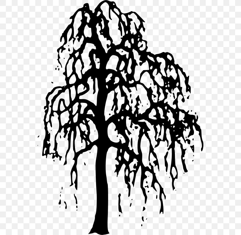 Tree Willow Clip Art, PNG, 564x800px, Tree, Art, Artwork, Black And White, Branch Download Free