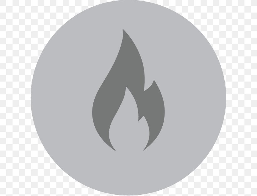 Vector Graphics Flame Illustration Image Fire, PNG, 625x625px, Flame, Fire, Leaf, Logo, Passive Fire Protection Download Free