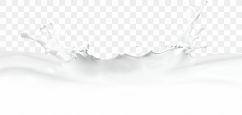 Paper White Brand, PNG, 1390x660px, Paper, Black, Black And White, Brand, Computer Download Free