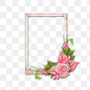 Picture Frames Flower Photography, PNG, 1600x1120px, Picture Frames ...