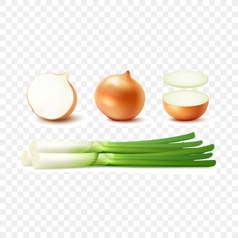 Shallot Potato Onion Yellow Onion Red Onion, PNG, 1000x1000px, Shallot, Bulb, Ceramic, Chopped Green Onions, Cup Download Free