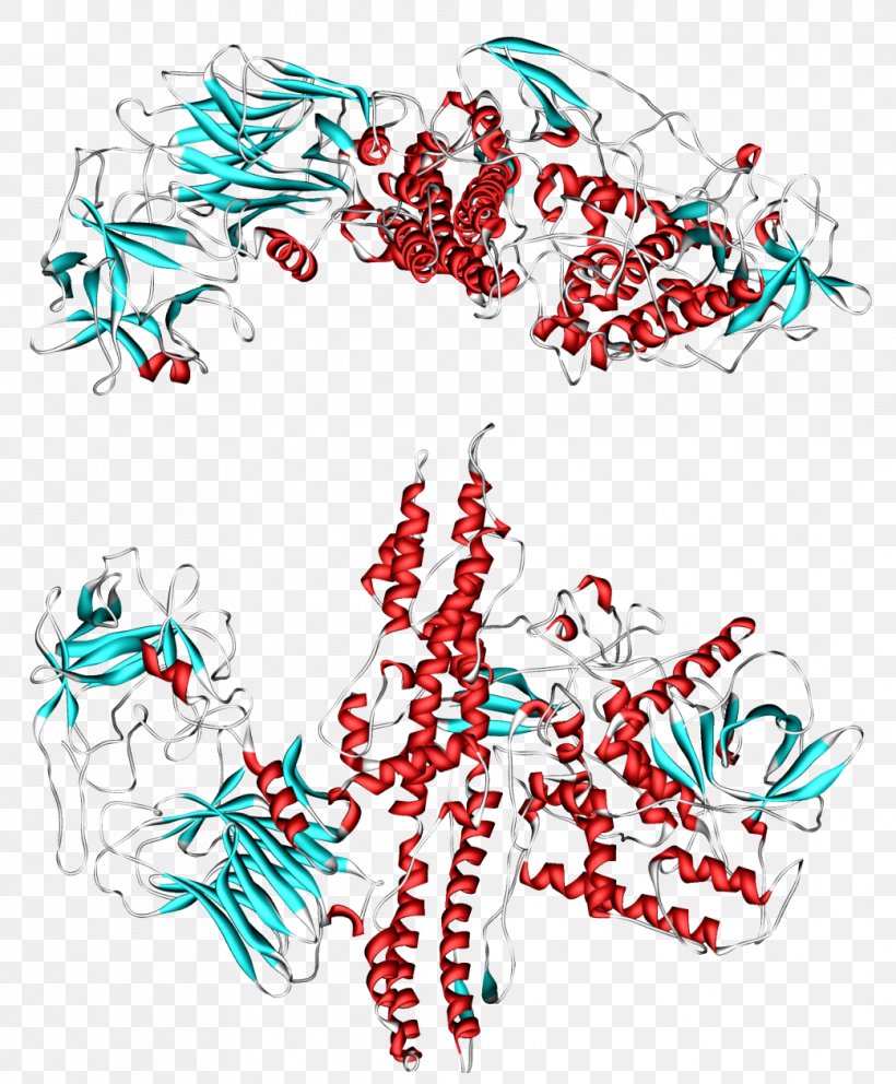 Clostridium Botulinum Botulinum Toxin Neurotoxin Poison, PNG, 1041x1260px, Clostridium Botulinum, Area, Art, Artwork, Bacteria Download Free