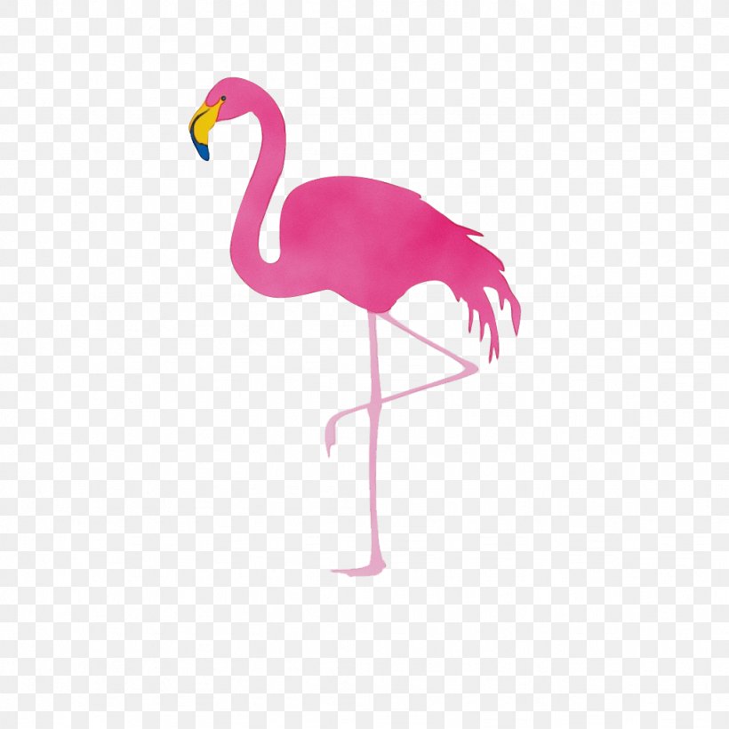 Flamingo Vector Graphics Clip Art Illustration, PNG, 1024x1024px, Flamingo, Beak, Bird, Cranelike Bird, Drawing Download Free