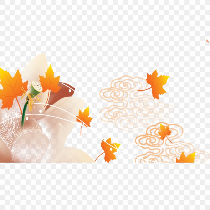 Petal Text Illustration, PNG, 1181x1181px, Petal, Computer, Floral Design, Flower, Orange Download Free