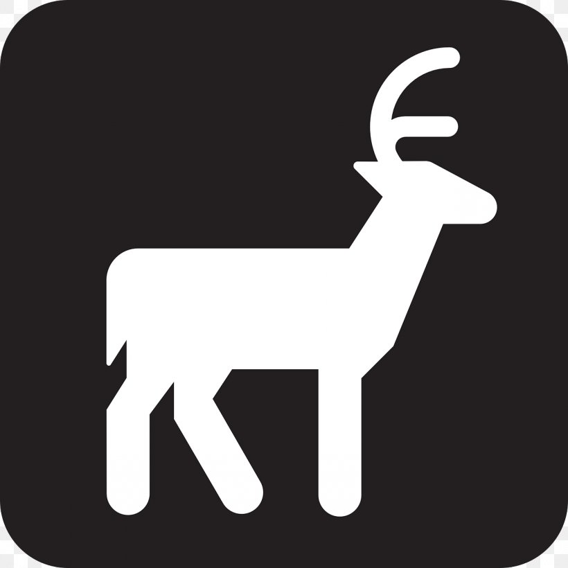 Reindeer White-tailed Deer Deer Hunting, PNG, 1280x1280px, Deer, Black And White, Campsite, Deer Hunting, Finger Download Free