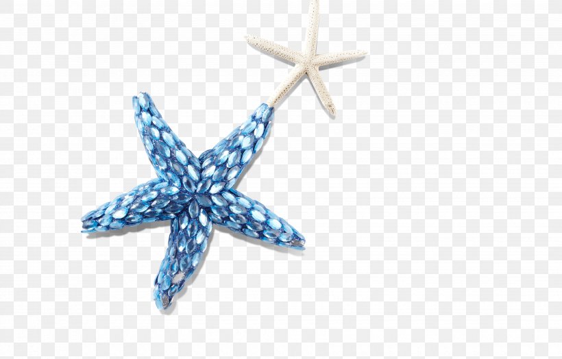 Seashell Starfish, PNG, 3500x2240px, Sea, Blue, Cmyk Color Model, Invertebrate, Raster Graphics Download Free