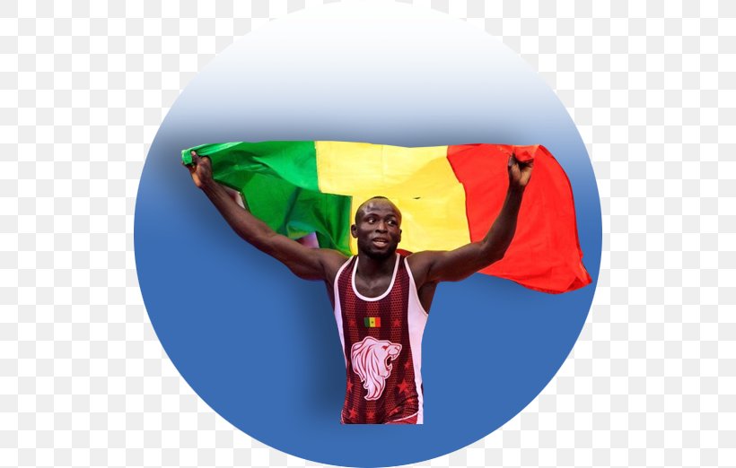 Senegal National Football Team Togo Olympic Games Wrestling, PNG, 522x522px, Senegal, Championship, Fun, Olympic Games, Olympic Sports Download Free