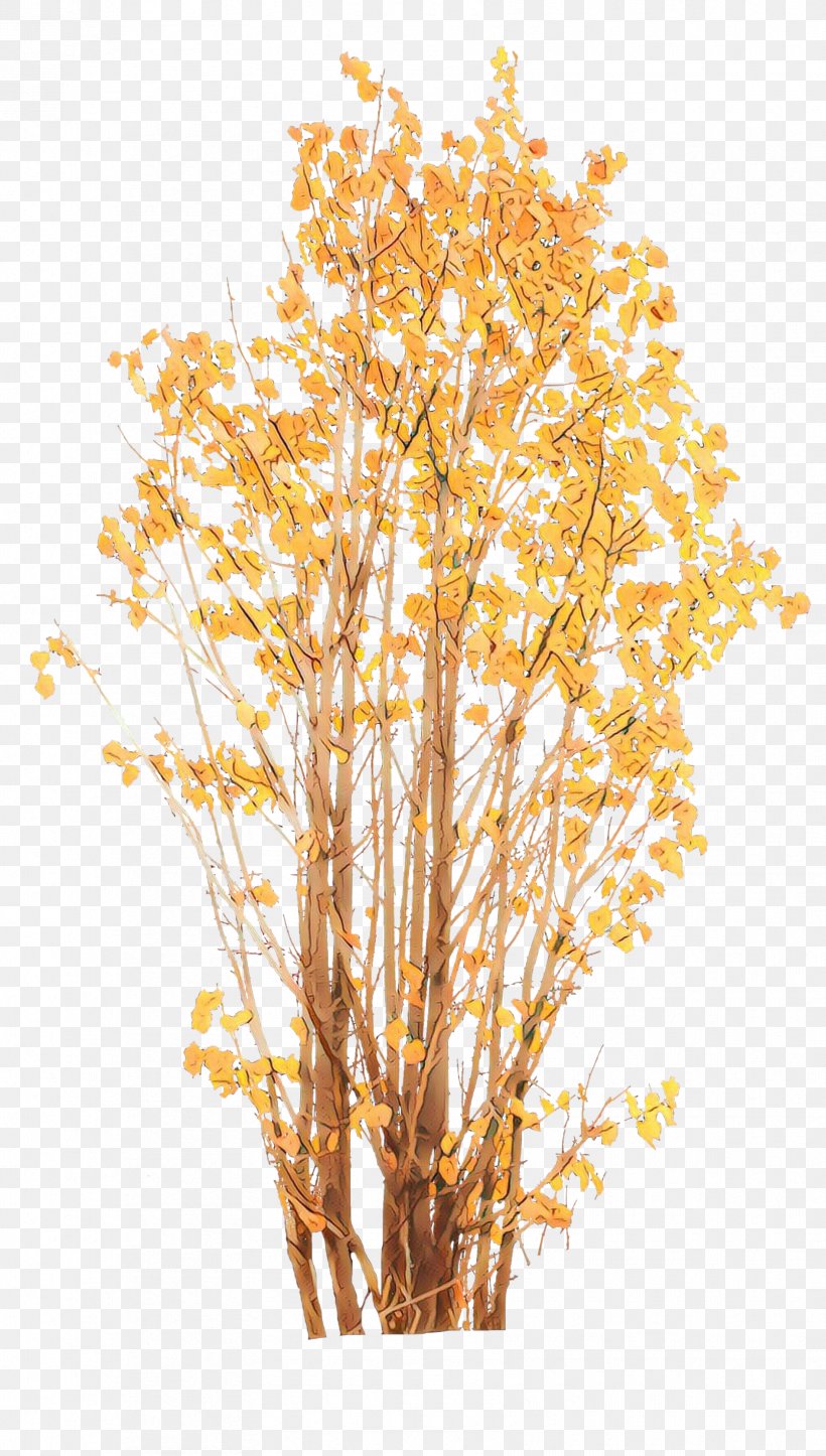 Tree Yellow Branch Plant Woody Plant, PNG, 1673x2952px, Cartoon, Birch, Branch, Flower, Leaf Download Free