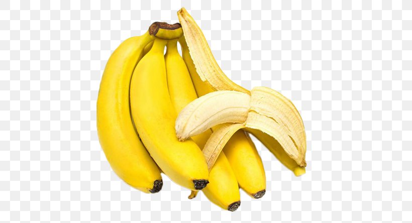 Banana Bread Fruit Salad Banana Pudding Banana Passionfruit, PNG, 572x444px, Banana Bread, Apple, Avocado, Banana, Banana Family Download Free