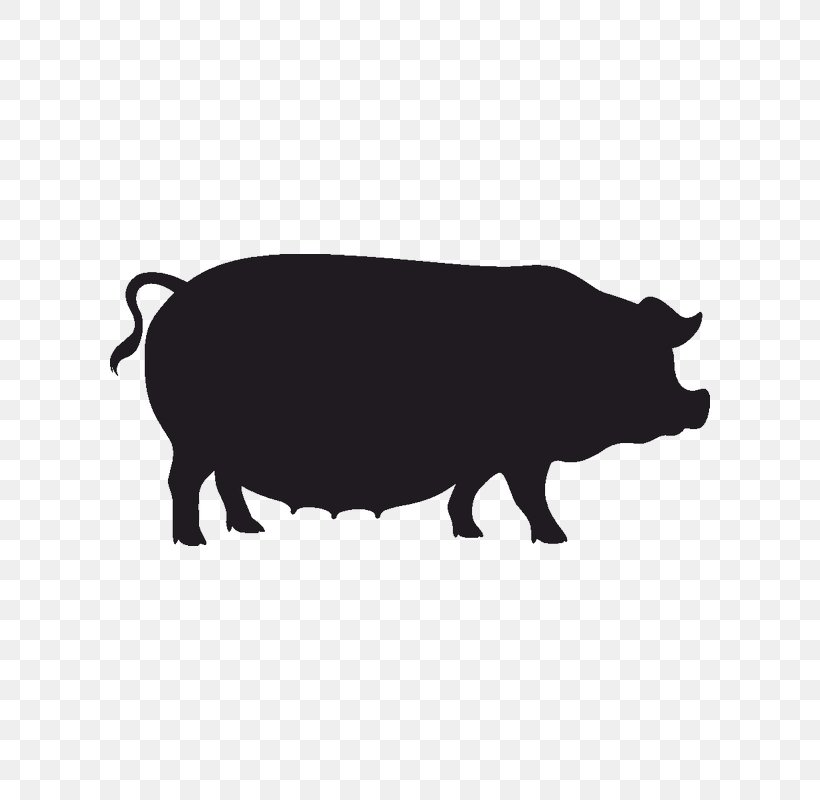 Pig Bacon Restaurant Food Kitchen, PNG, 800x800px, Pig, Bacon, Bison, Boar, Bovine Download Free