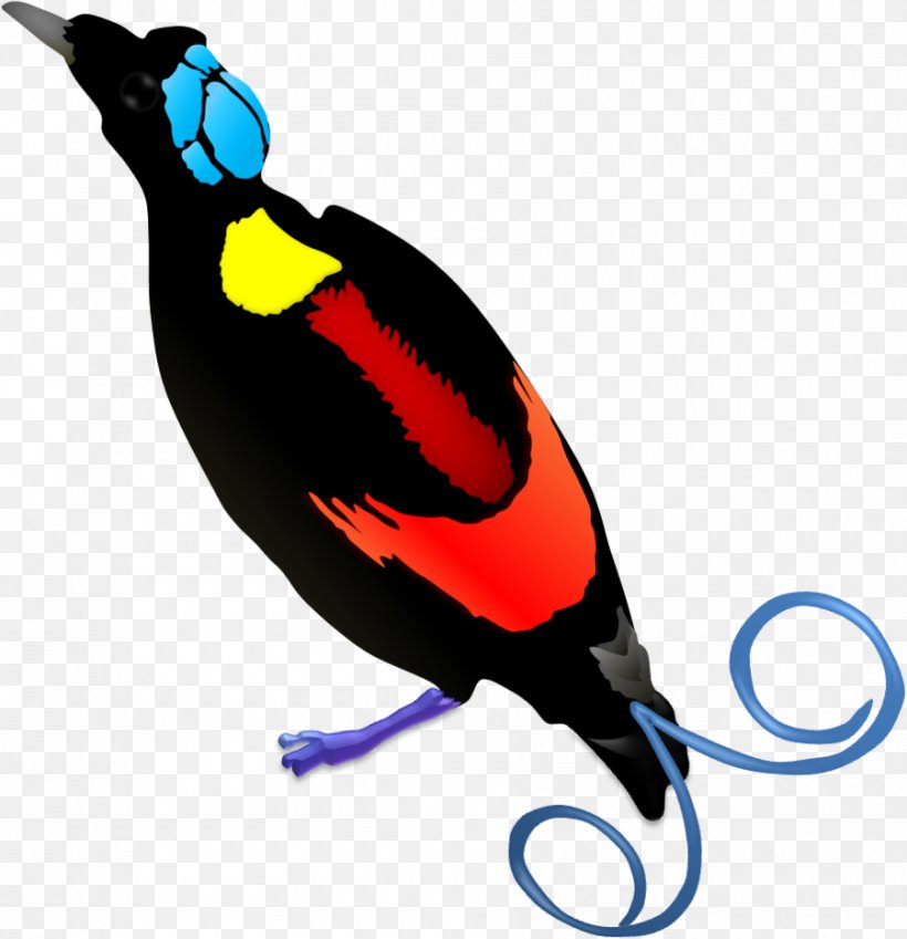 Wilson's Bird-of-paradise New Guinea Raggiana Bird-of-paradise, PNG, 900x932px, Bird, Artwork, Beak, Birdofparadise, Courtship Download Free