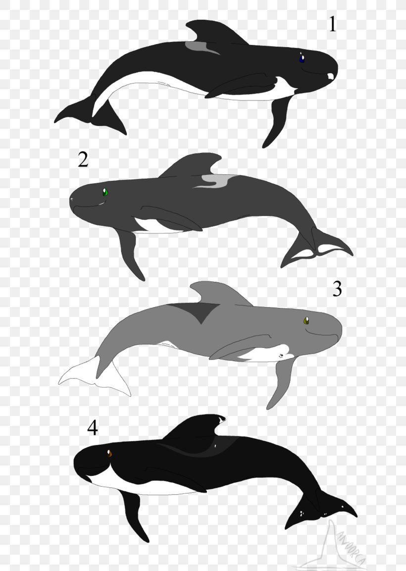 Common Bottlenose Dolphin Tucuxi Porpoise Killer Whale, PNG, 692x1153px, Common Bottlenose Dolphin, Biology, Black And White, Bottlenose Dolphin, Cetacea Download Free