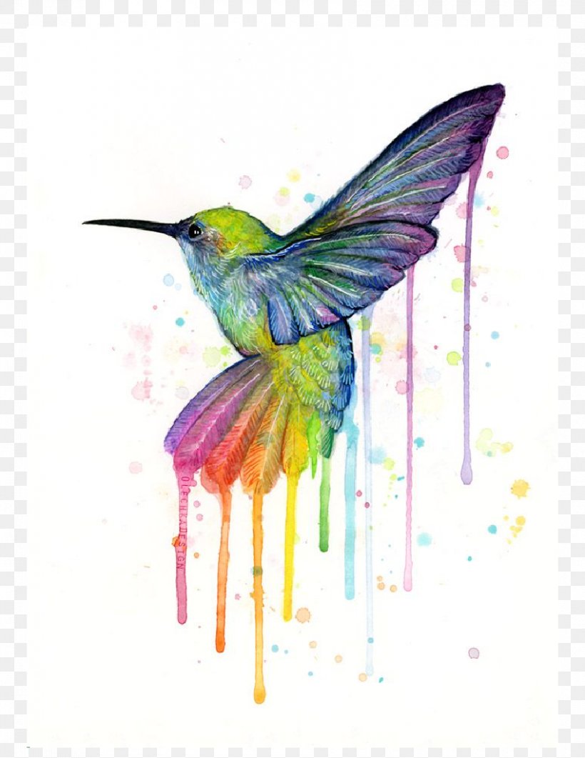 Hummingbird Printmaking Art Watercolor Painting Canvas Print, PNG, 850x1100px, Hummingbird, Art, Art Museum, Beak, Bird Download Free