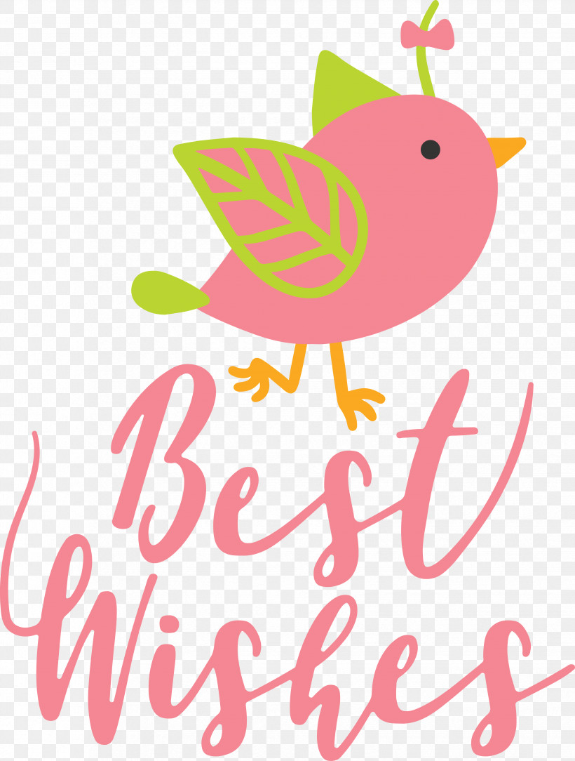 Birds Logo Beak Pink M Meter, PNG, 3303x4369px, Birds, Beak, Biology, Fruit, Logo Download Free