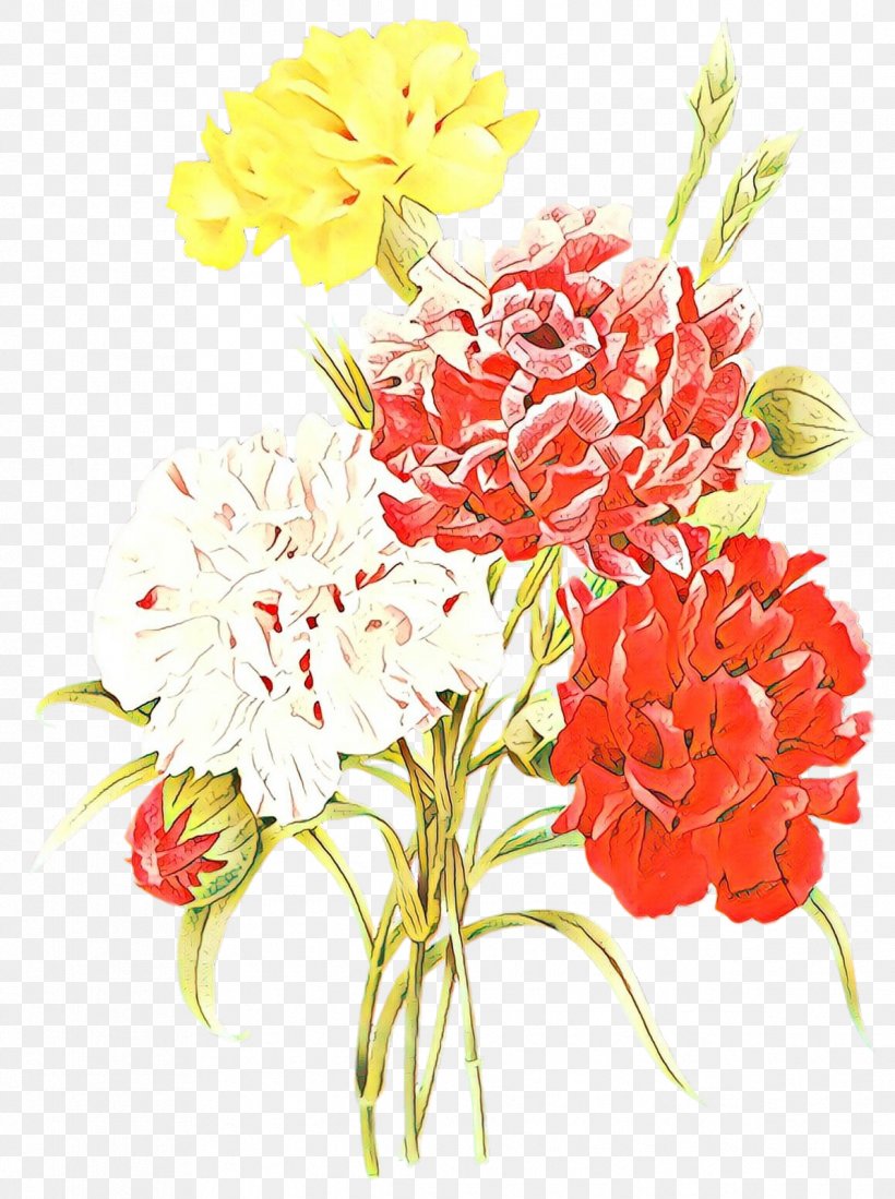 Choix Des Plus Belles Fleurs Botanical Illustration Botany Drawing, PNG, 1193x1600px, Choix Des Plus Belles Fleurs, Art, Artificial Flower, Botanical Illustration, Botany Download Free