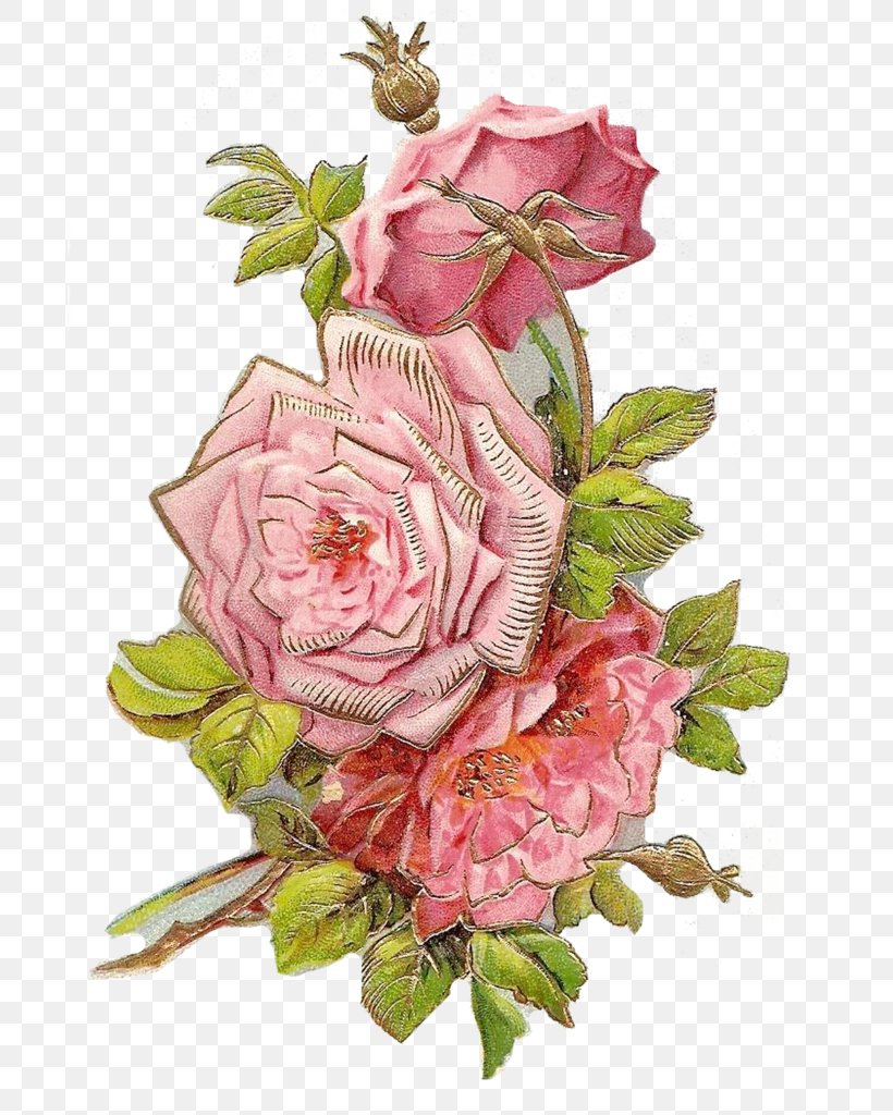 Garden Roses Cut Flowers Floral Design Centifolia Roses, PNG, 696x1024px, Garden Roses, Artificial Flower, Askartelu, Centifolia Roses, Cut Flowers Download Free
