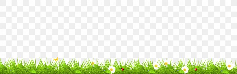 Lawn Green Desktop Wallpaper Computer Grasses, PNG, 1920x600px, Lawn, Commodity, Computer, Field, Grass Download Free