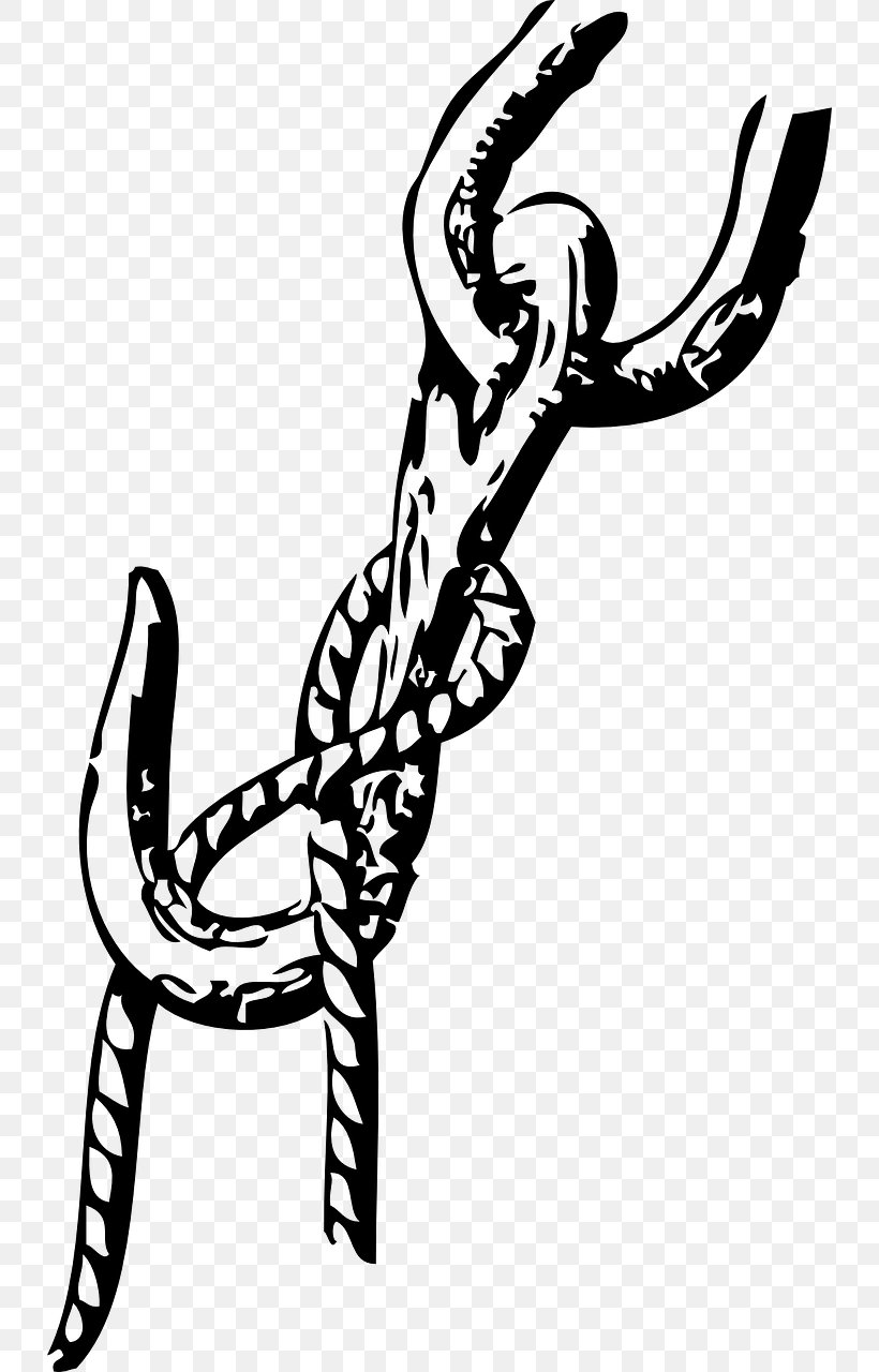 Seizing Knot Clip Art, PNG, 732x1280px, Seizing, Art, Black And White, Branch, Carrick Bend Download Free