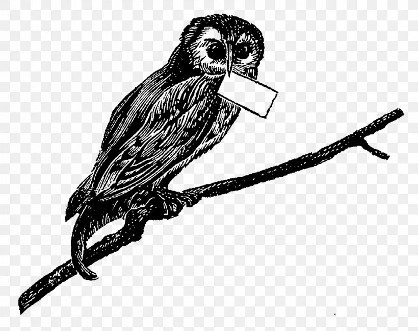 Bird Of Prey Owl Beak Drawing, PNG, 1600x1266px, Bird, Animal, Beak, Bird Of Prey, Black And White Download Free