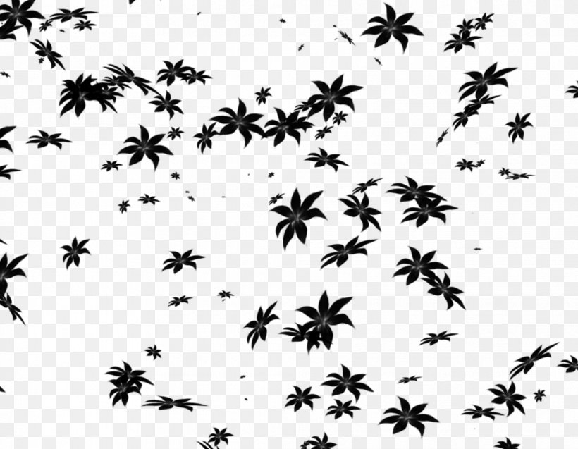 Black & White, PNG, 1014x788px, Black White M, Blackandwhite, Flower, Leaf, Plant Download Free